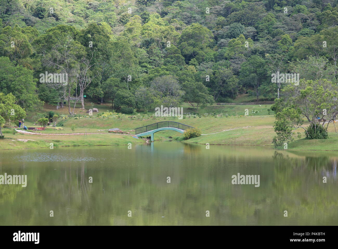 Lake & Bridge, le Jardin Botanique, Seethawaka, Sri Lanka Banque D'Images