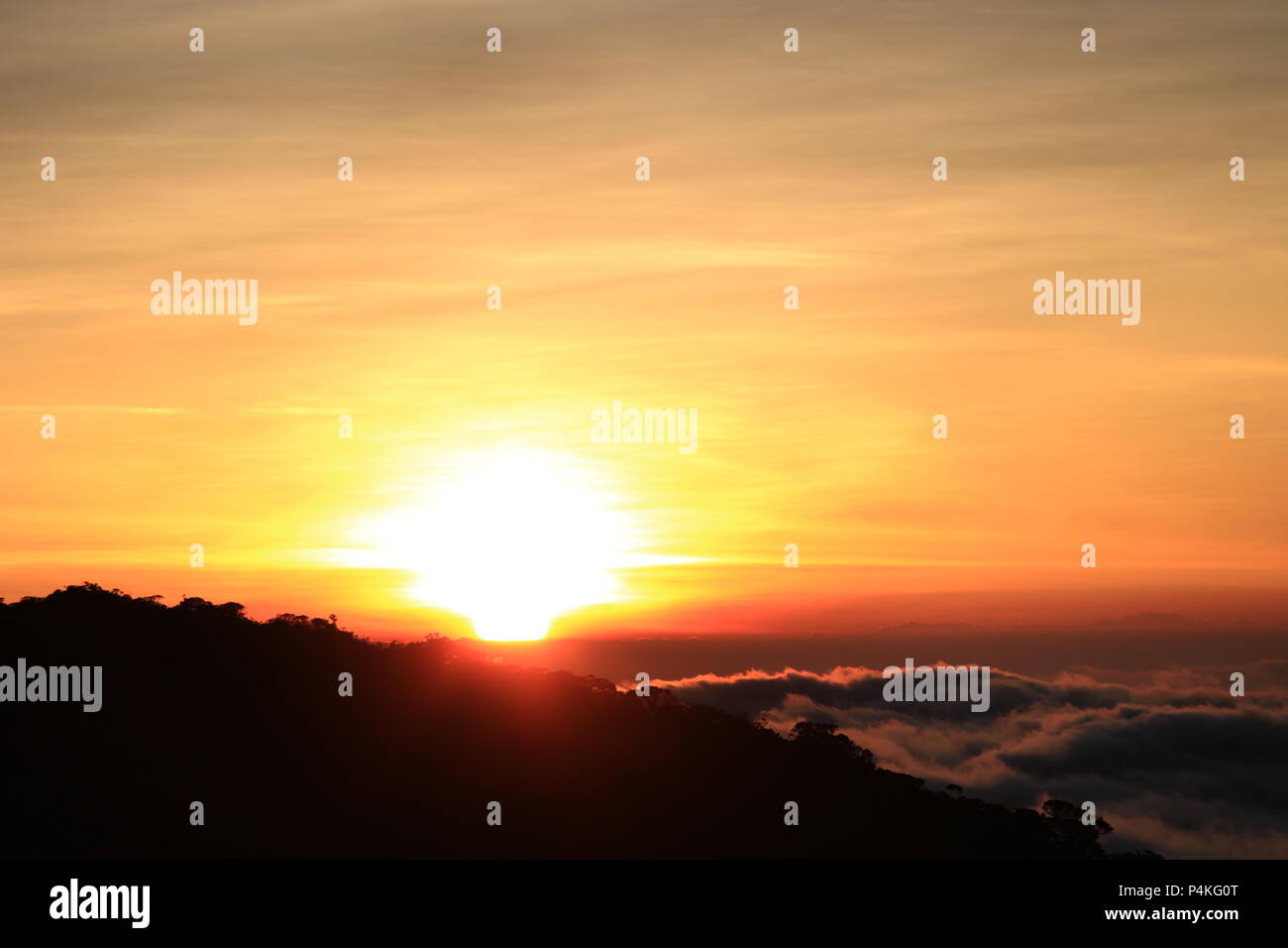 Voir disparaître à Nuwara-Eliya, Sri Lanka Banque D'Images