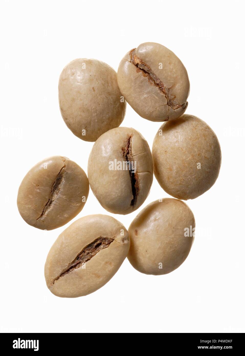 Les grains de café Robusta, Java, Indonésie Banque D'Images