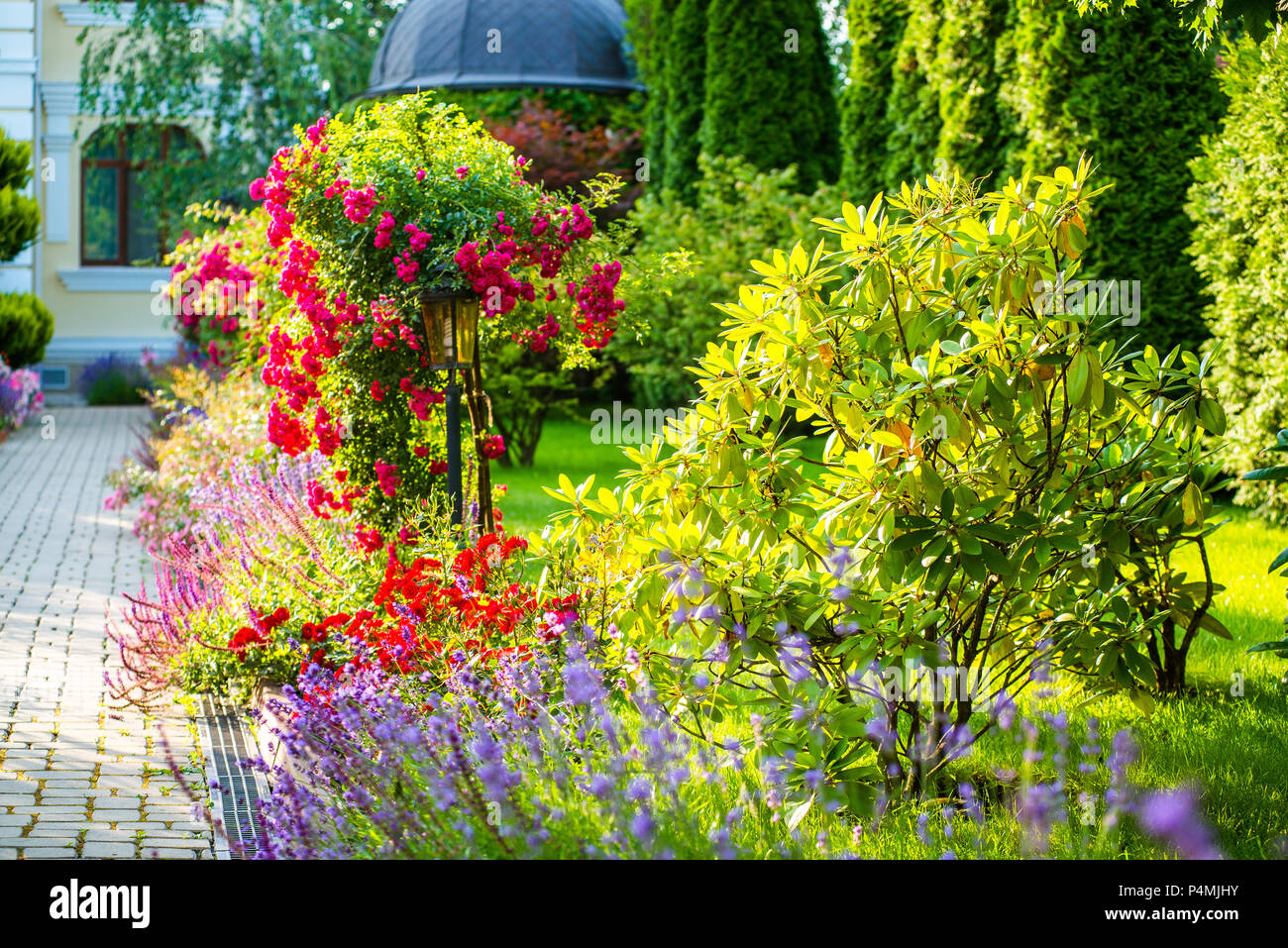 L'aménagement paysager magnifique avec de belles plantes et fleurs Banque D'Images