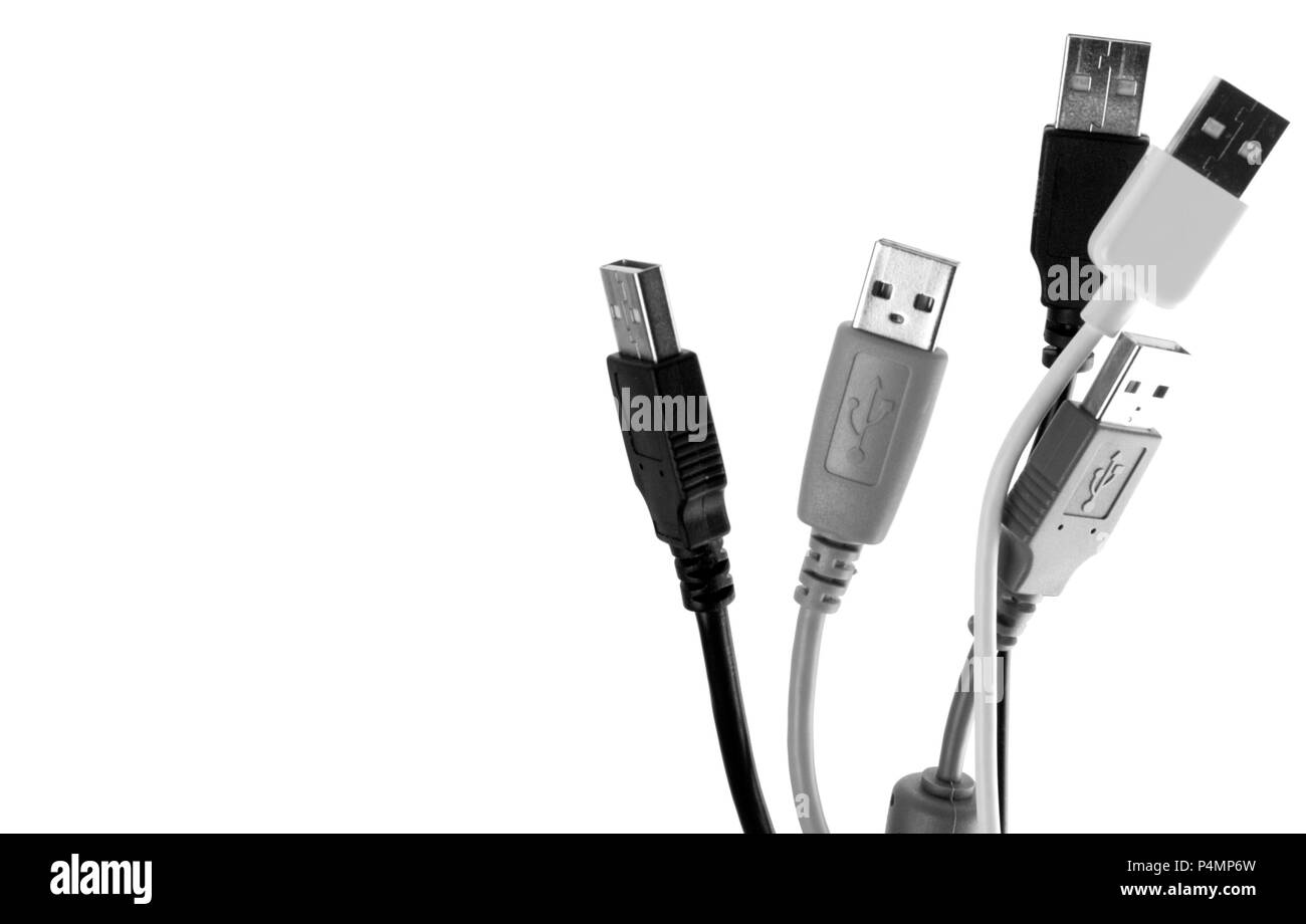 Un câble usb sur fond blanc Banque D'Images