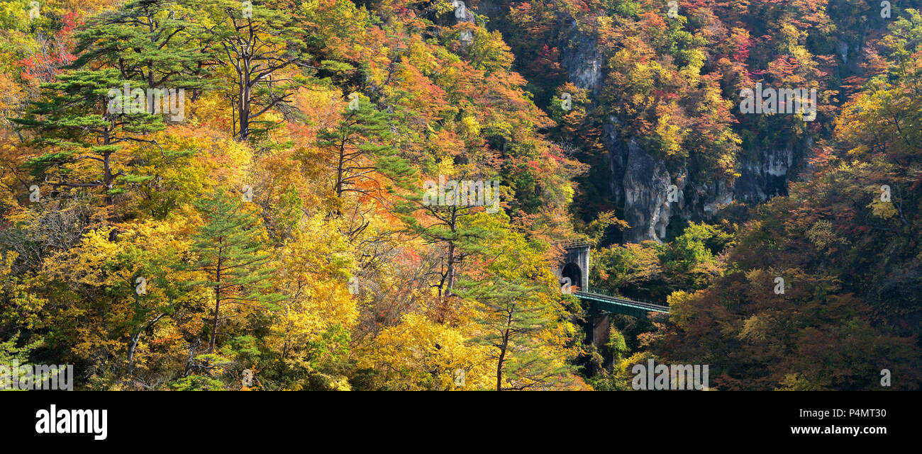 Naruko vallée Gorge avec tunnel ferroviaire dans Japon Tohoku Miyagi Banque D'Images