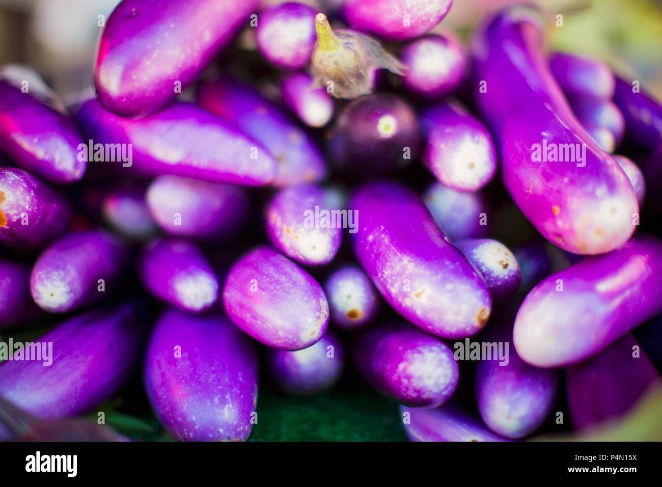 Les aubergines de japonais Banque D'Images