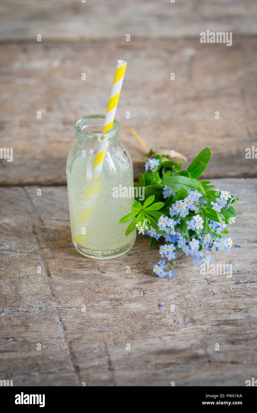 Limonade à la rhubarbe dans une mini bouteille en verre à côté d'un bouquet de myosotis Banque D'Images