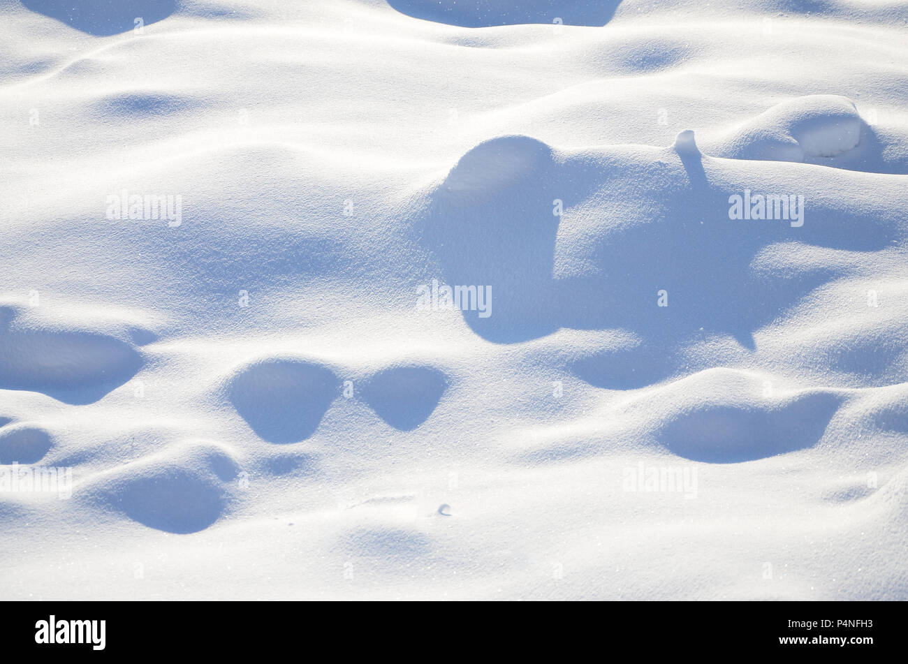 Грязный снежный лес. Следы от шин на асфальте. Обочина дороги зимой. The roads cover with the snow. Зимняя дорога уходит вдаль из окна машины.