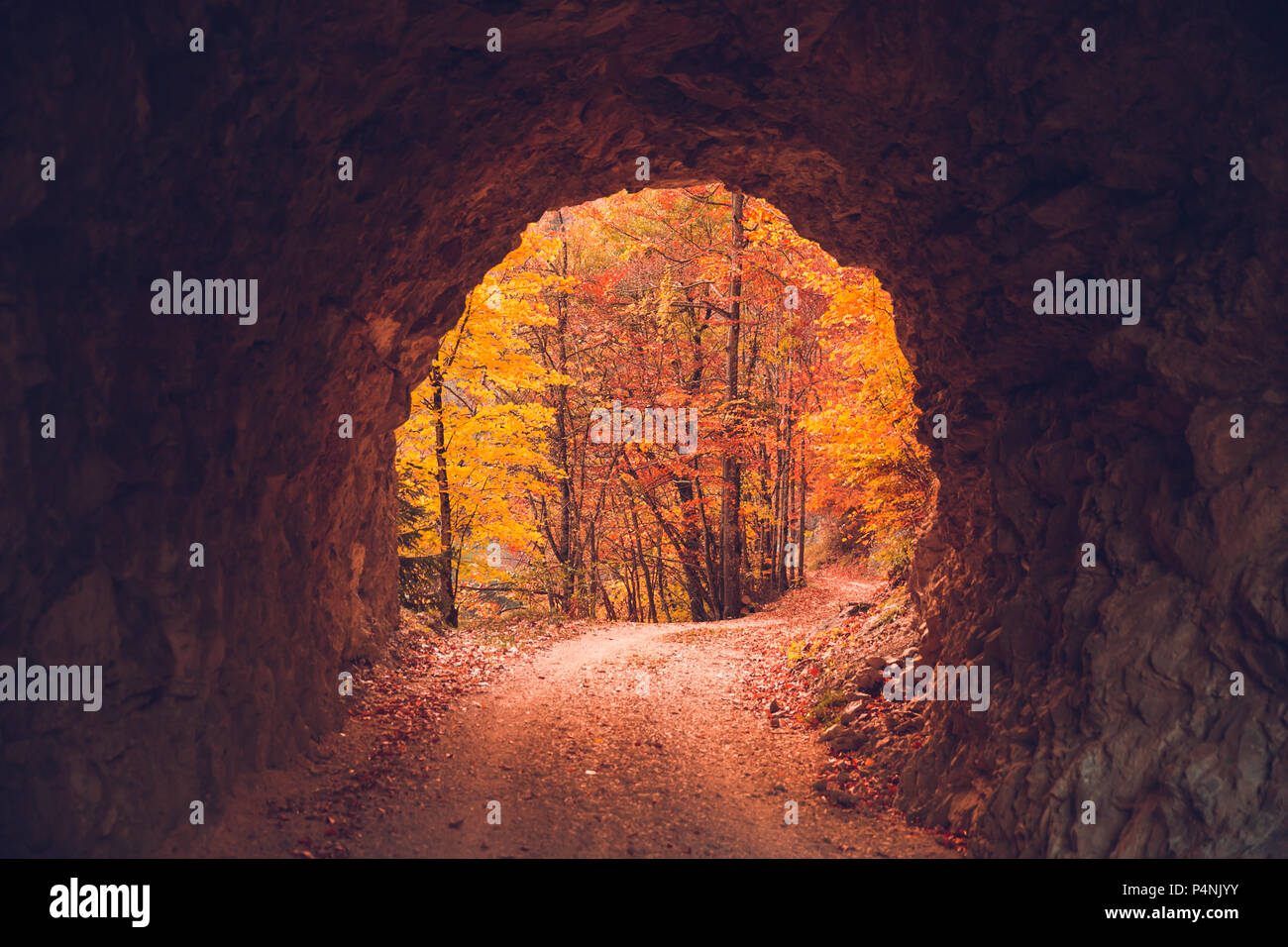 Tunnel Sculpté en pierre de soleil rouge et de l'ouverture de la lumière sur le feuillage d'automne Banque D'Images