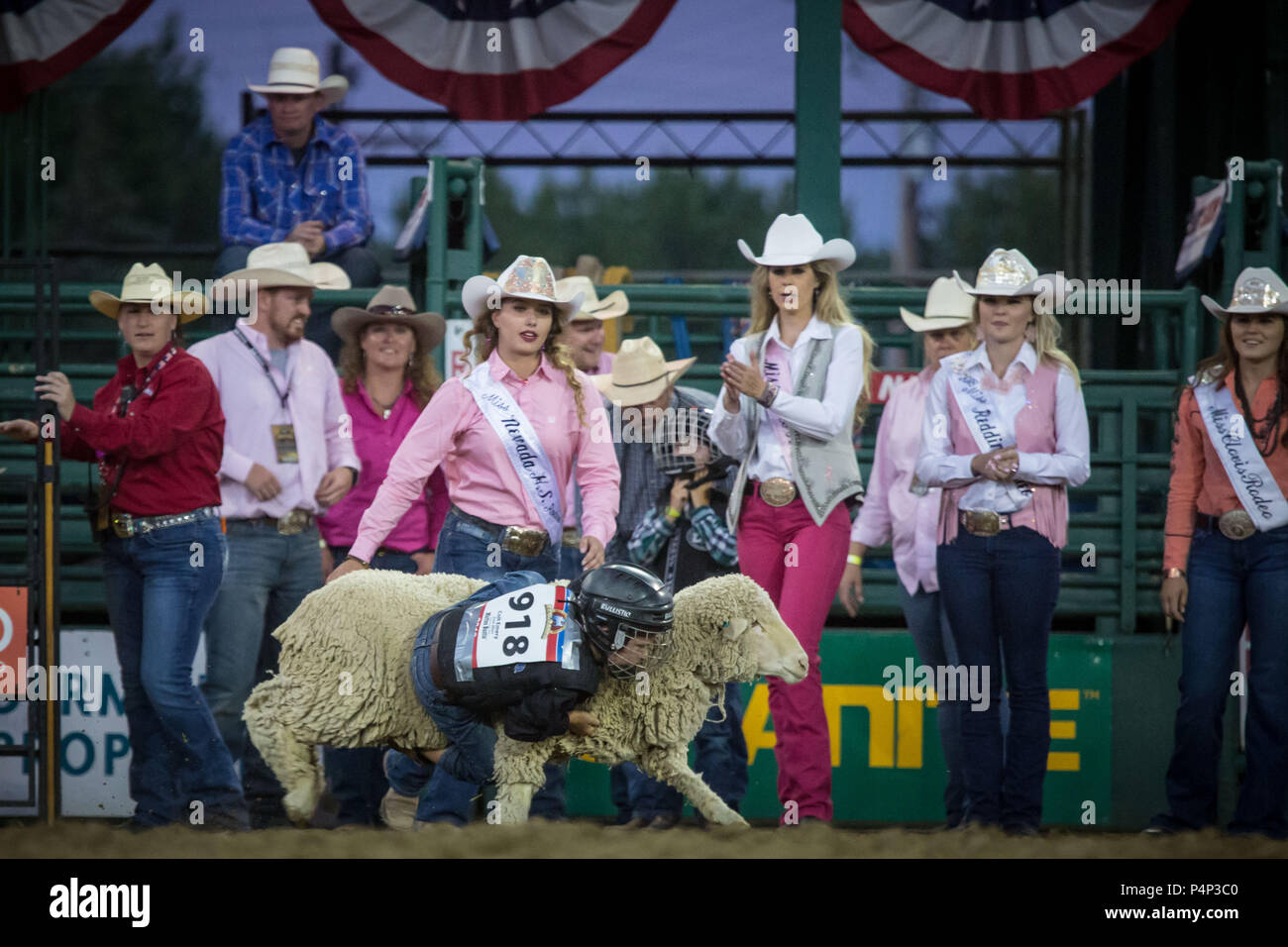 Reno, Nevada, USA. 22 Juin, 2018. COLT EMERY tient un mouton pendant le mouton Bustin 'la concurrence au rodéo de Reno de Reno, Nevada, le vendredi 22 juin 2018.Connu sous le nom de ''les plus riches les plus fous Rodeo dans l'Ouest.'' le Reno Rodeo est un professionnel Rodeo Cowboys Association (PRCA) événement sportif sanctionné, et l'un des cinq meilleurs rodéos en Amérique du Nord. Cette année, le rodéo, le 99e rapport annuel, se déroule du 14 au 23 juin 2018. Credit : Tracy Barbutes/ZUMA/Alamy Fil Live News Banque D'Images