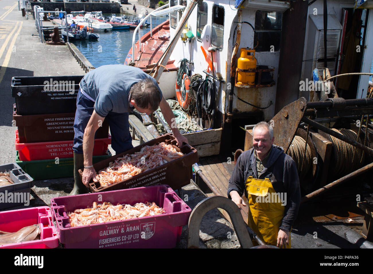 Schull, West Cork, Irlande. 23 Juin, 2018. Une autre belle journée ensoleillée avec les pêcheurs d'une amende d'atterrissage de captures mixtes de crevettes et de poisson blanc. Credit : aphperspective/Alamy Live News Banque D'Images