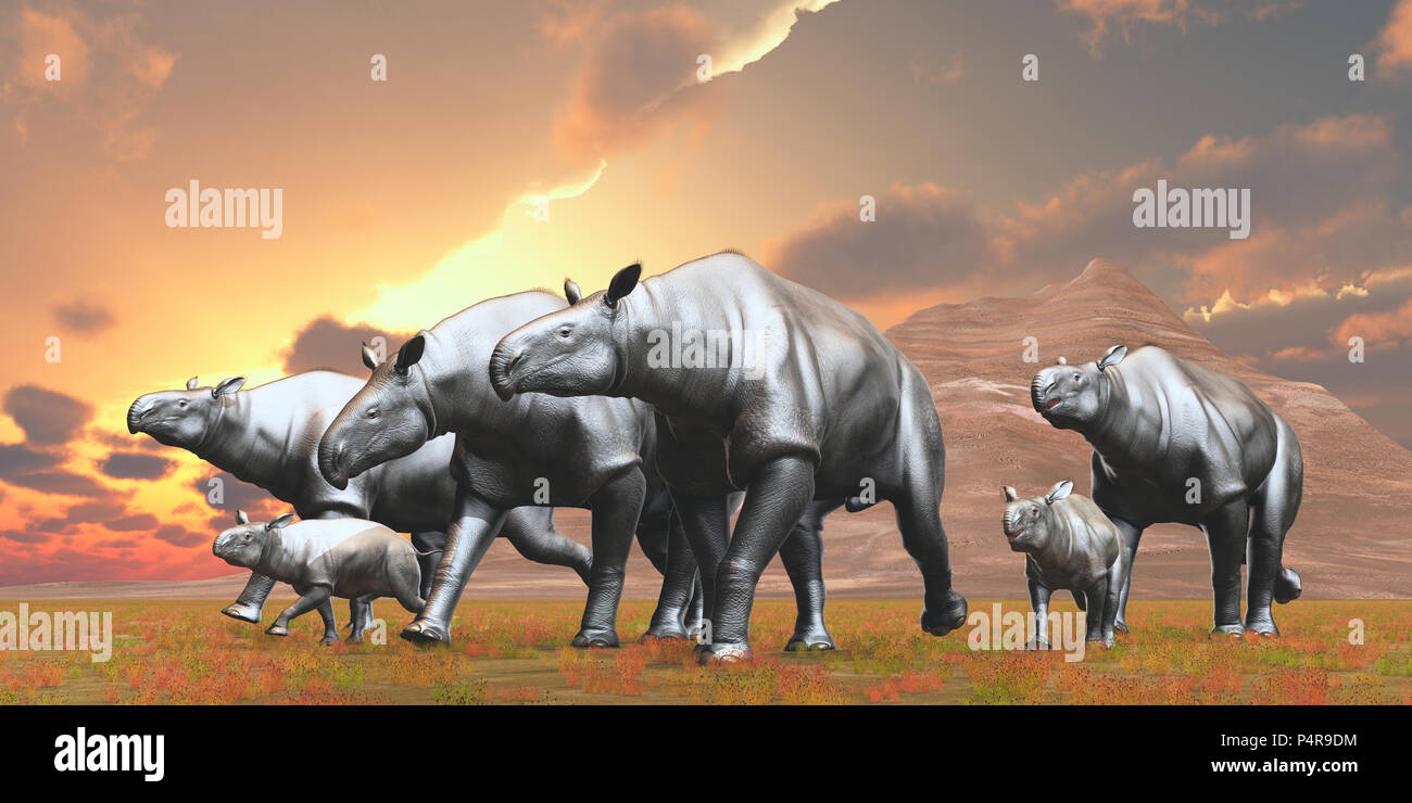 Paraceratherium Paraceratherium troupeau - était un herbivore Indricotherium qui vivait dans l'Eurasie au cours de la période de l'Éocène. Banque D'Images