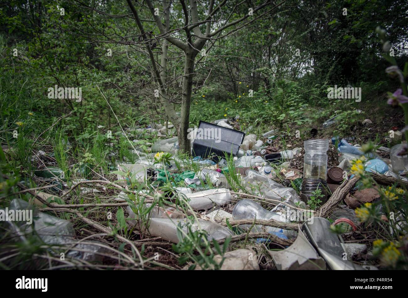 Des tas de déchets, principalement le plastique, abandonné entre les arbres forestiers en milieu urbain, West Midlands, Royaume-Uni. Banque D'Images