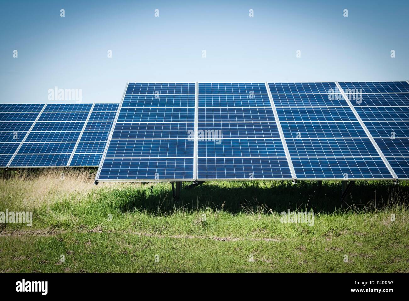 Des rangées de panneaux solaires solar farm dans le Nord du Pays de Galles, Royaume-Uni. Banque D'Images