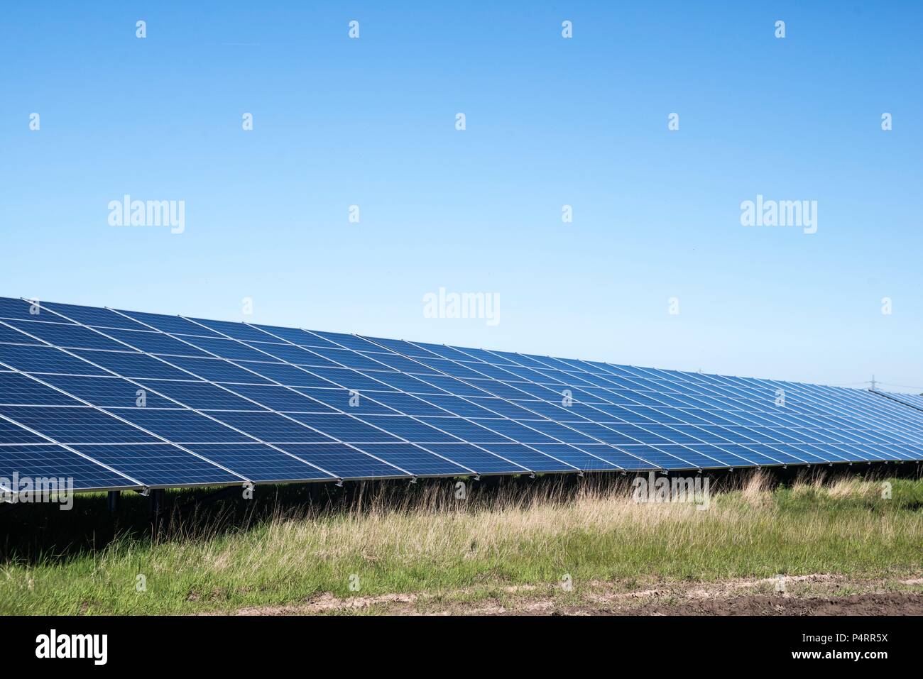 Rangée de panneaux solaires solar farm dans le Nord du Pays de Galles, Royaume-Uni. Banque D'Images