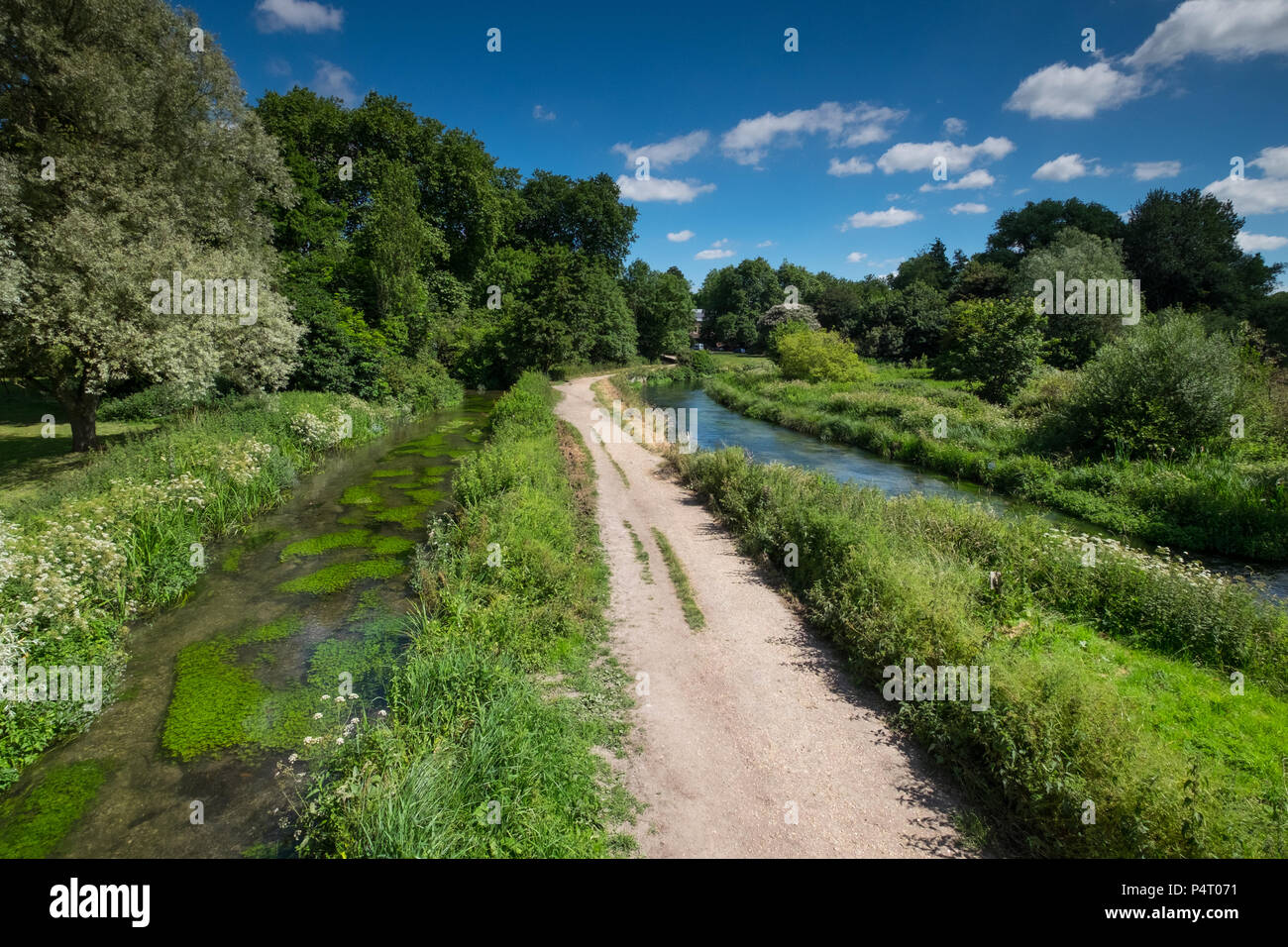 L'eau Winchester Meadows, à la périphérie de la ville de Winchester, Hampshire, Royaume-Uni Banque D'Images