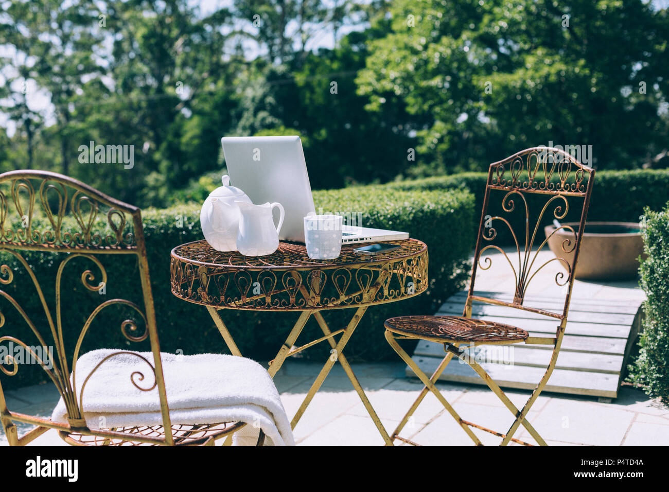 Jardin extérieur d'un bureau avec vue sur la montagne et forêt Banque D'Images