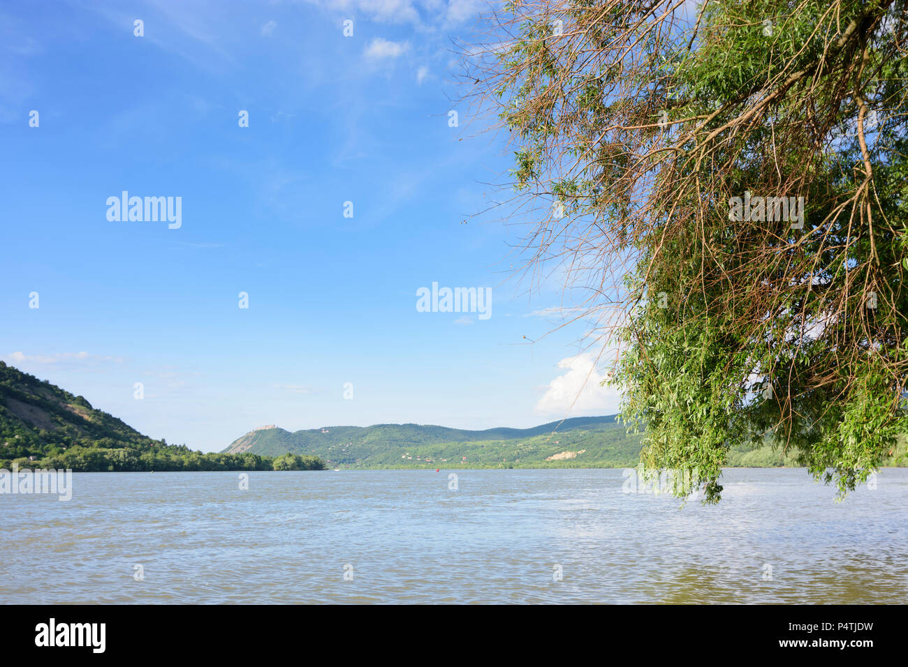 Visegrad (Plintenburg) : Danube en Hongrie, Pest, Courbe du Danube (Dunakanyar) Banque D'Images