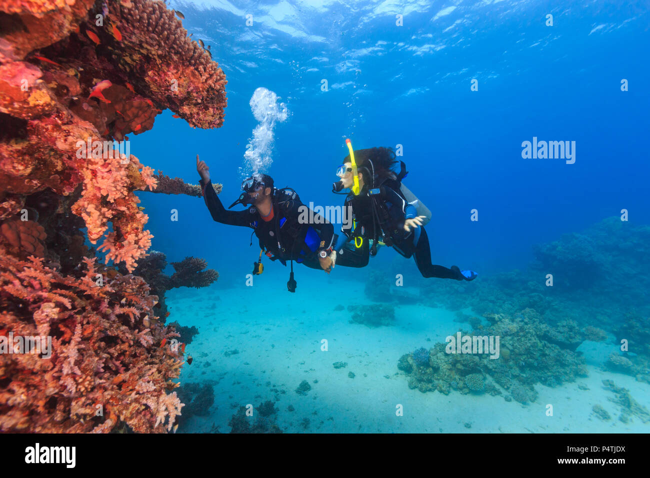 Explorer les gens sous l'eau . Deux personnes adultes en plongée première fois le récif tropical avec fond bleu, beaux récifs et de petits poissons. Man pointing Banque D'Images