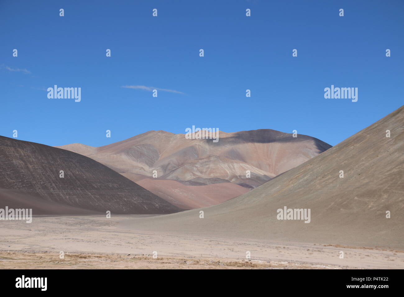 Kirschstein Et Al photo
