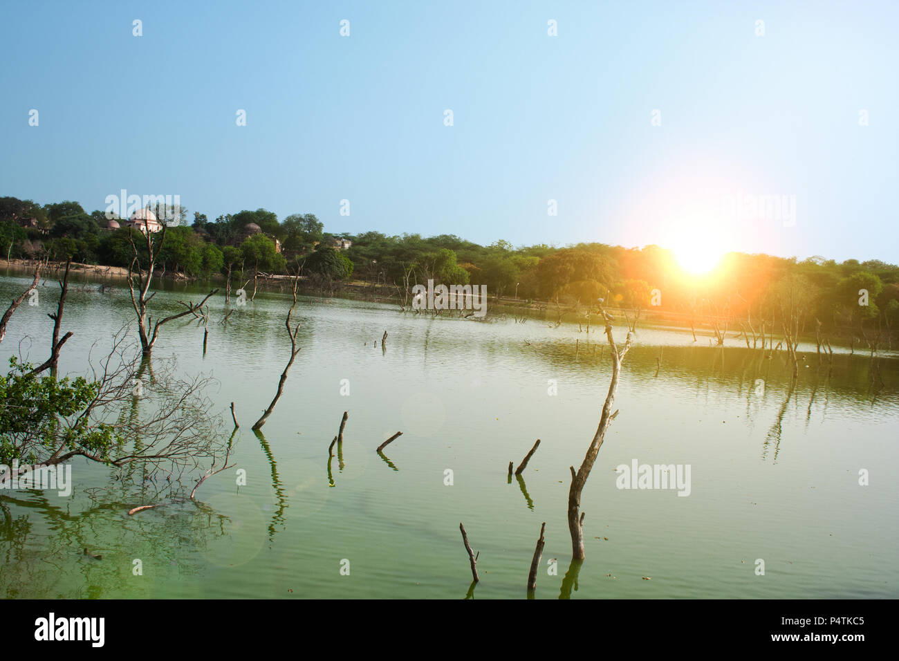 Deer Park Lake à Delhi Banque D'Images