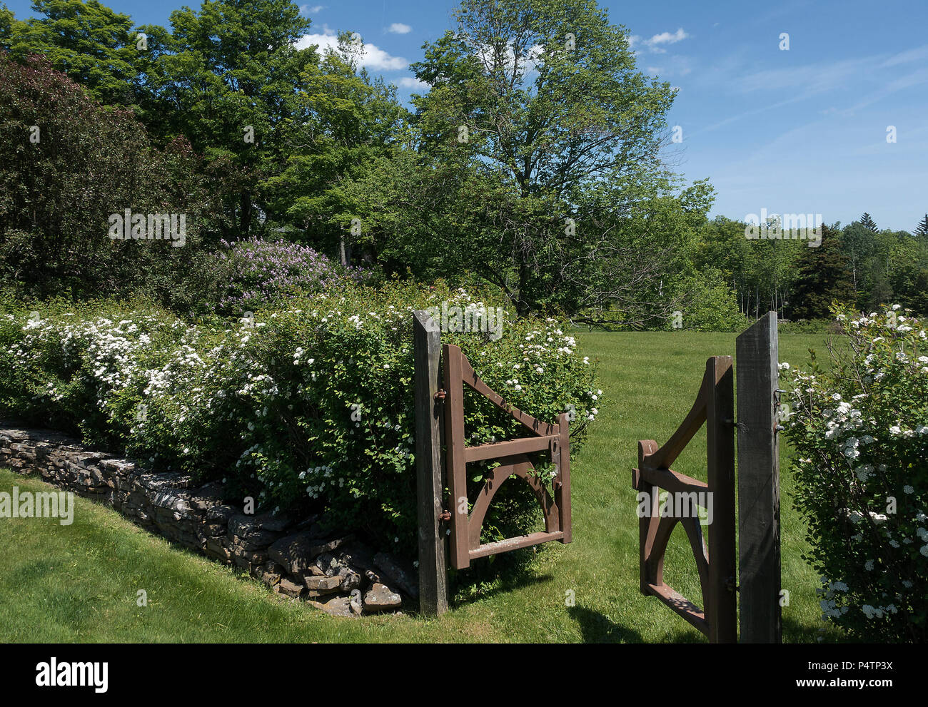 Jardin en bois porte d'open field Banque D'Images