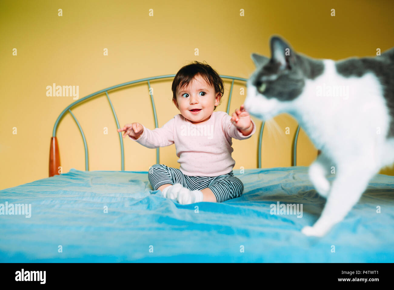 Surpris baby girl with cat sur le lit Banque D'Images