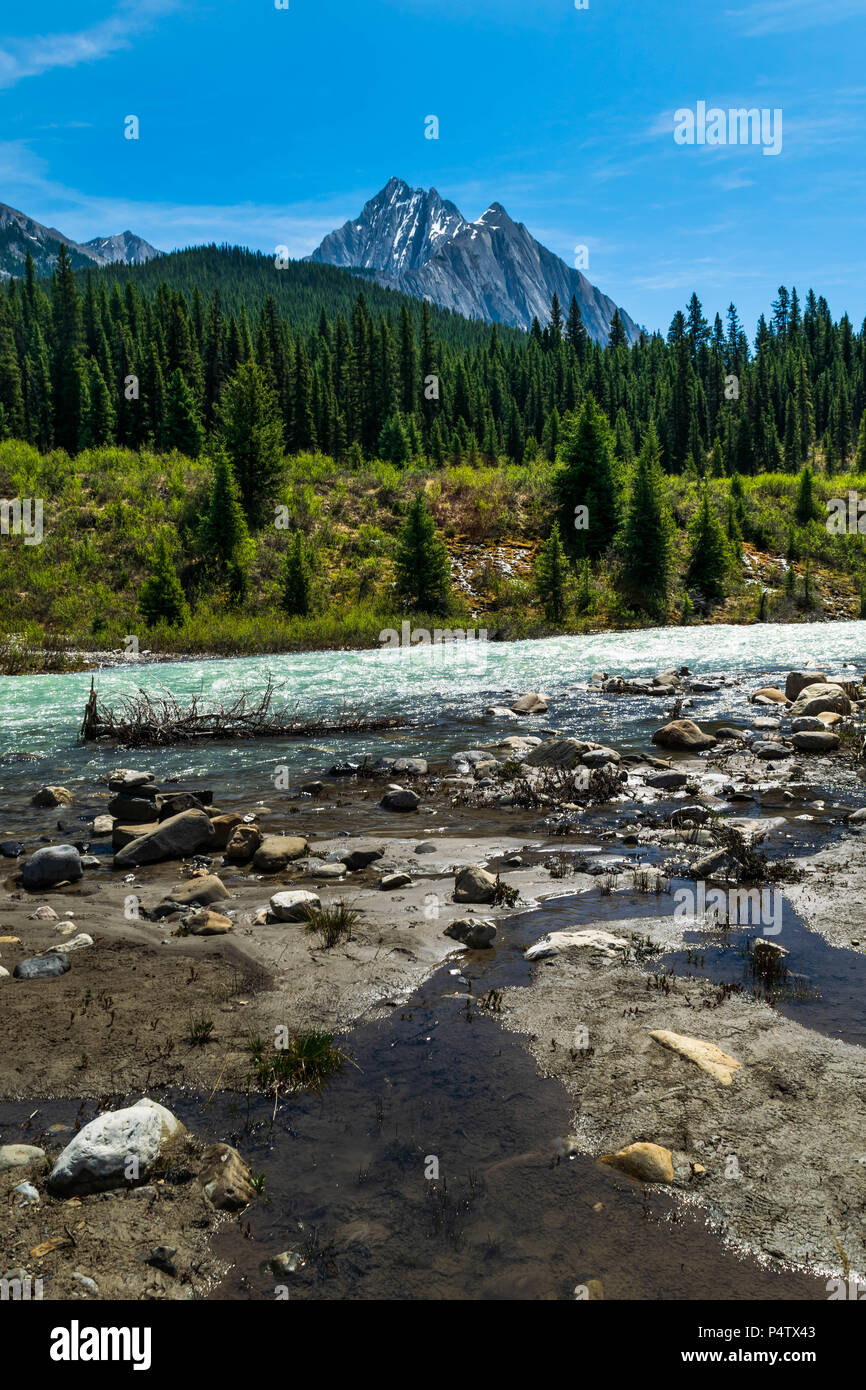 Vue du mont Cascade à partir de l'Ink Pots dans le parc national de Banff, Canada Banque D'Images