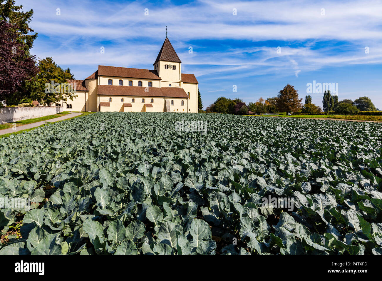 L'Allemagne, l'île de Reichenau, Oberzell, vue à l'église de St George Banque D'Images