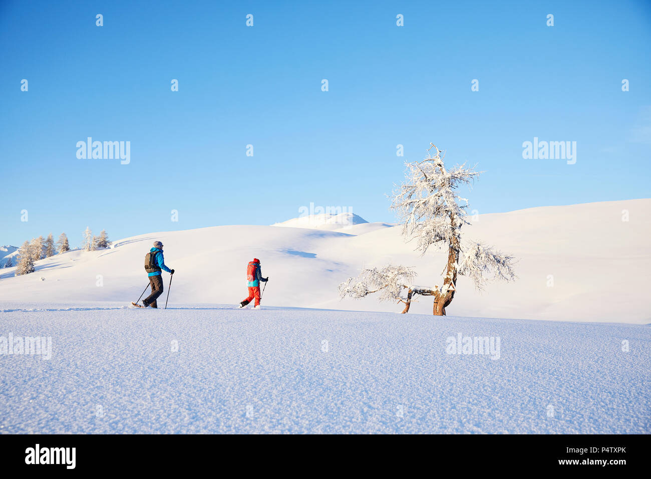 Autriche, Tyrol, couple snowshoeing Banque D'Images