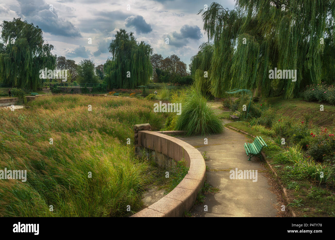 Promenade dans le vieux parc. Banque D'Images