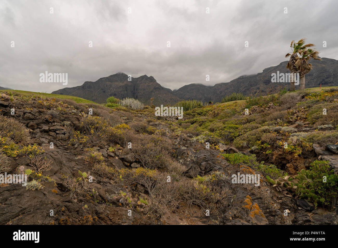 Vue sur la plage Playa de los Barqueros dans la partie nord de Tenerife, à Buenavista del Norte et sa formation de roches volcaniques le long de la mer. Banque D'Images