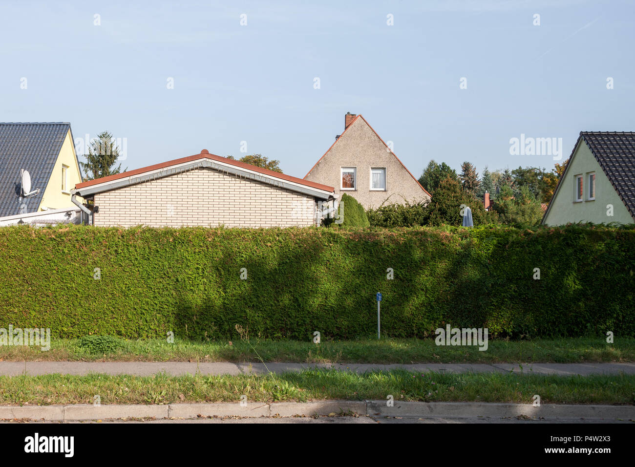 Berlin, Allemagne, maisons individuelles derrière une haie haute dans le Hohenwalder Strasse à Berlin-Marzahn Banque D'Images