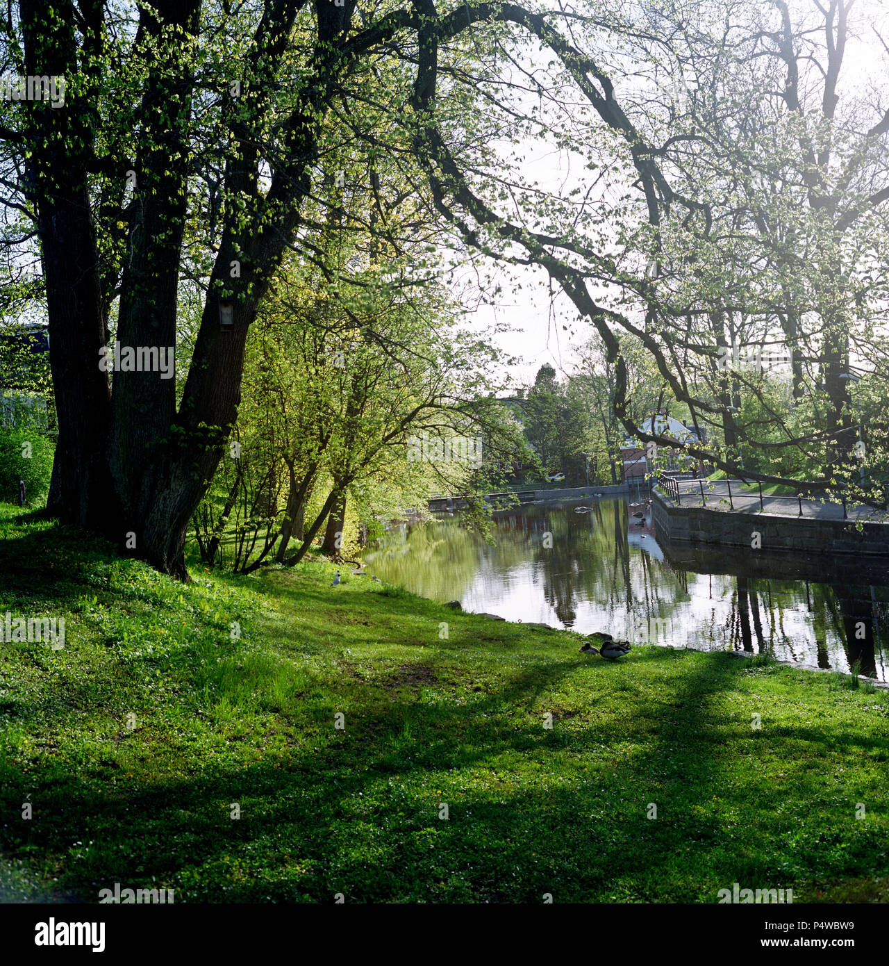 Le petit ruisseau qui traverse la ville de Norrtalje 50 miles au nord de Stockholm, photographié pendant trois saisons, hiver, printemps et automne / l'automne. Banque D'Images