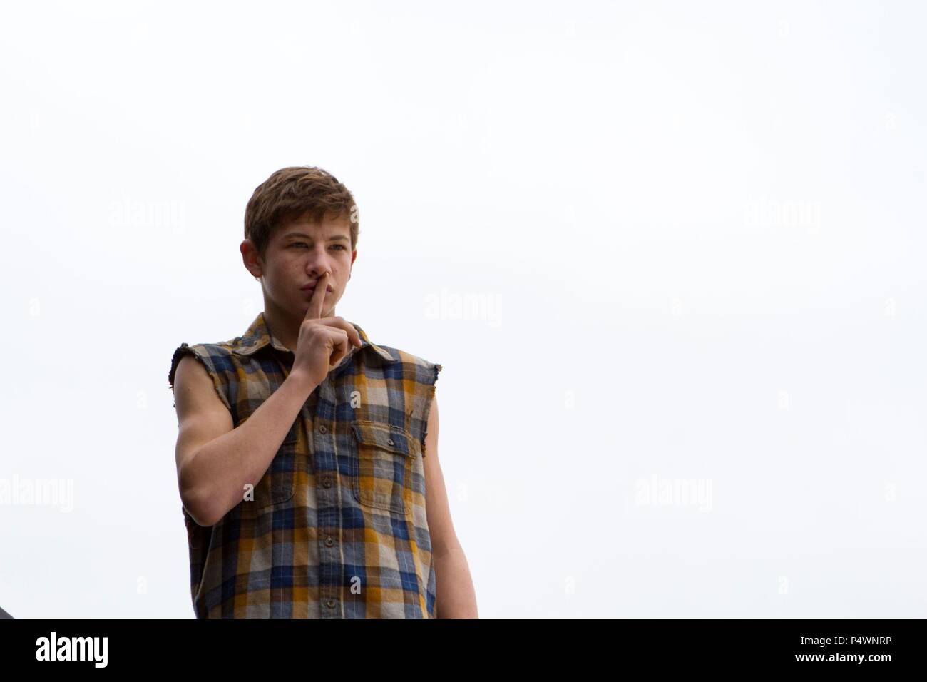 Titre : un film original. Titre en anglais : un. Film Réalisateur : DAVID GORDON GREEN. Année : 2013. Stars : TYE SHERIDAN. Credit : WORLDVIEW ENTERTAINMENT / Album Banque D'Images