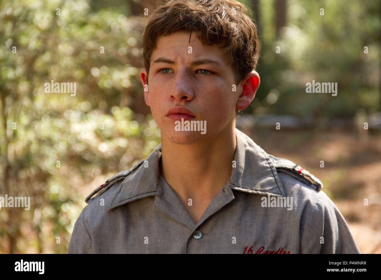 Titre : un film original. Titre en anglais : un. Film Réalisateur : DAVID GORDON GREEN. Année : 2013. Stars : TYE SHERIDAN. Credit : WORLDVIEW ENTERTAINMENT / Album Banque D'Images