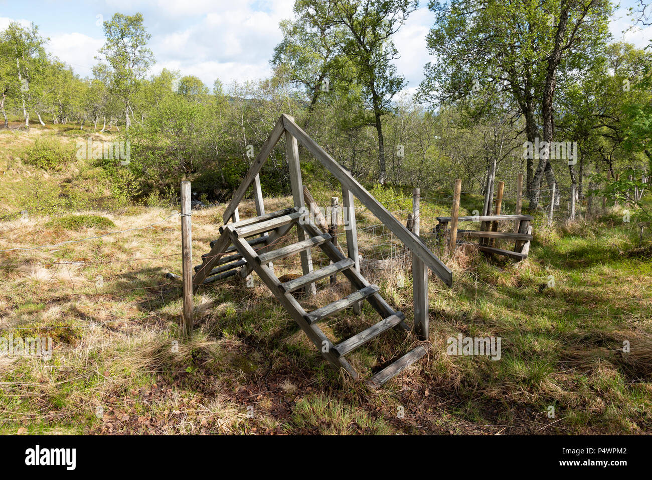 Un style traditionnel sur une clôture, la Norvège. Banque D'Images