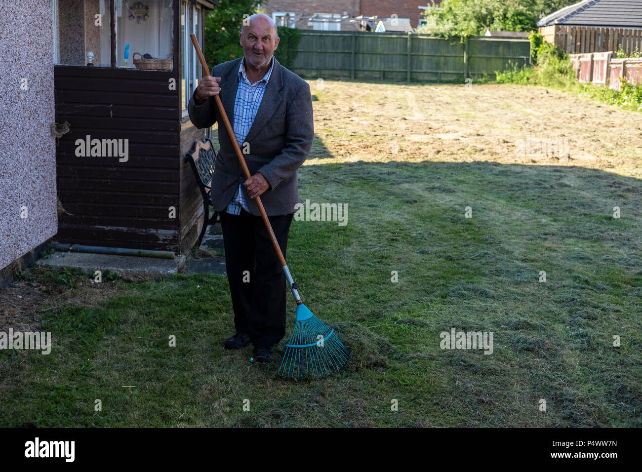 Vieil homme de ratisser l'herbe coupée après la pelouse a été tondue. Banque D'Images