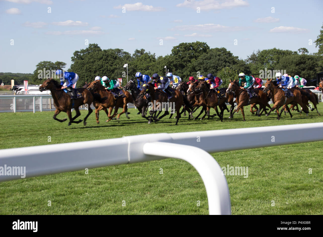 Course de chevaux sur la voie à Royal Ascot Banque D'Images