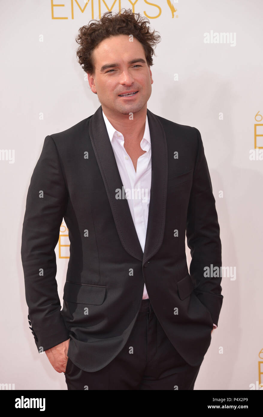 Johnny Galecki à la 66e Emmy Awards 2014 au Nokia Center de Los Angeles.Johnny Galecki ------------- Red Carpet Event, Vertical, USA, Cinéma, Célébrités, photographie, Bestof, Arts, Culture et divertissement, Célébrités Topix fashion / Vertical, Best of, événement dans la vie d'Hollywood, Californie - Tapis rouge et en backstage, USA, Cinéma, Célébrités, cinéma, télévision, Célébrités célébrités musique, photographie, Arts et culture, Bestof, divertissement, Topix trois quarts, vertical, une personne, à partir de l'an , 2014, enquête tsuni@Gamma-USA.com Banque D'Images