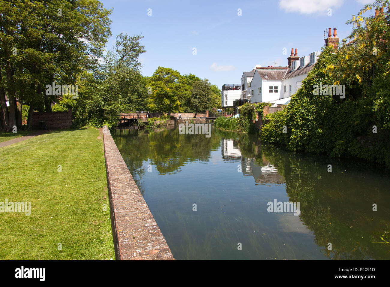 Ville de Canterbury, Angleterre. Vue d'été de la pittoresque Grand Stour at Canterbury's Abbot's Mill Garden. Banque D'Images