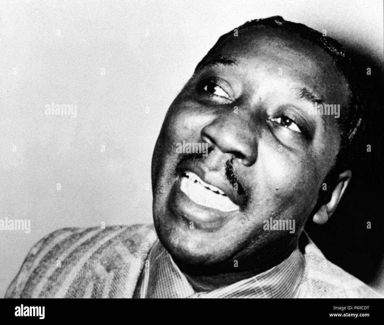 Muddy Waters. Banque D'Images