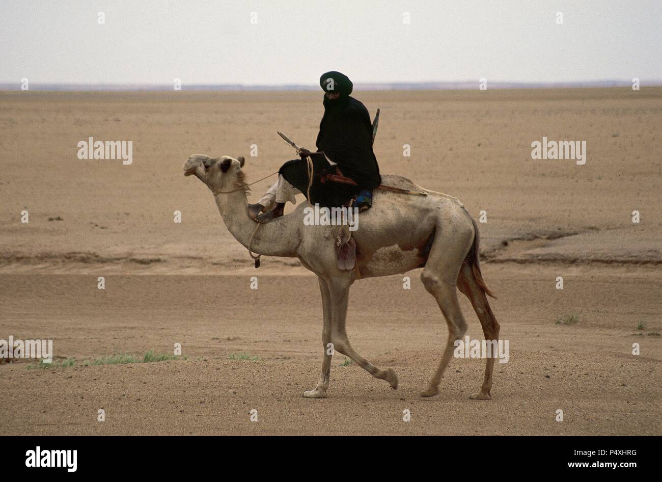 Touaregs. Desierto del Sahara. Argelia. Banque D'Images