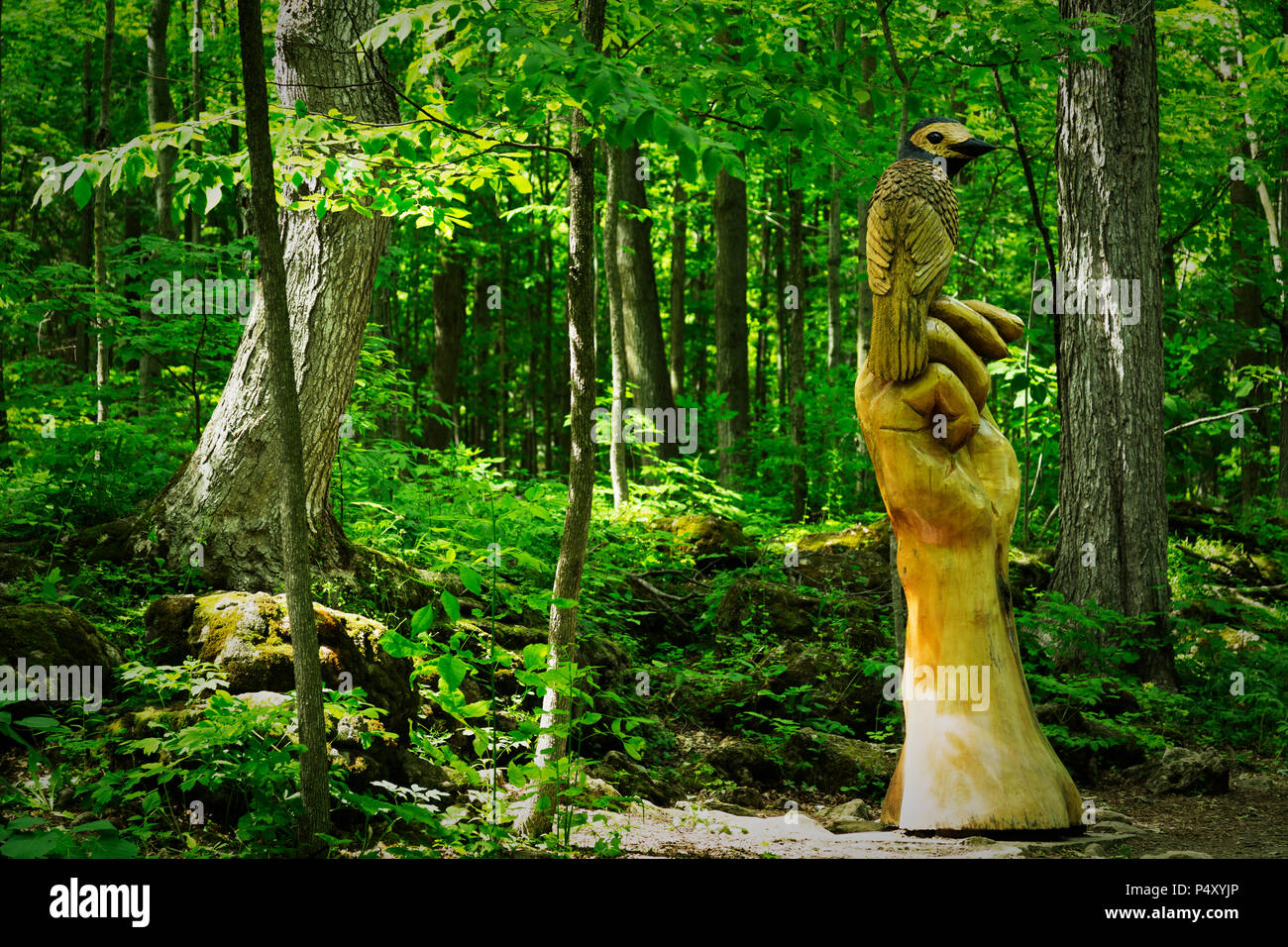 Crawford Lake Conservation Area et village iroquoien. Campbellville Ontario Canada. Les sculptures en bois le long de la piste de la cachette. Banque D'Images