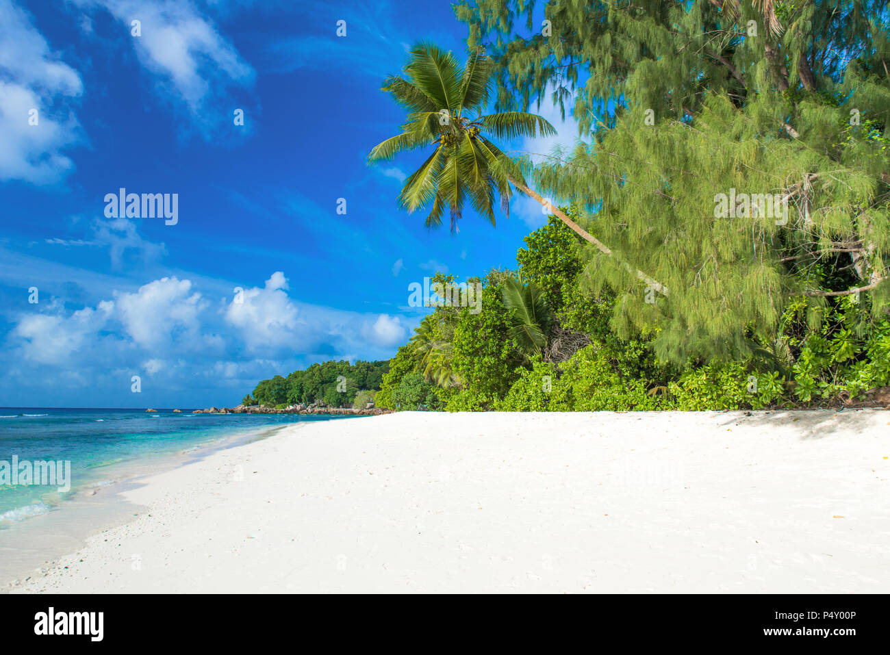 Anse Severe - belle plage sur l'île de La Digue, Seychelles Banque D'Images