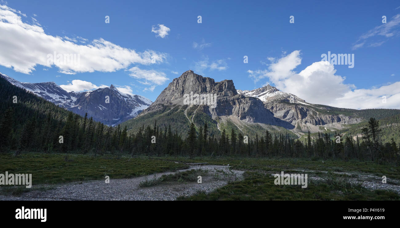 Rocky Mountain View grand angle en été Banque D'Images