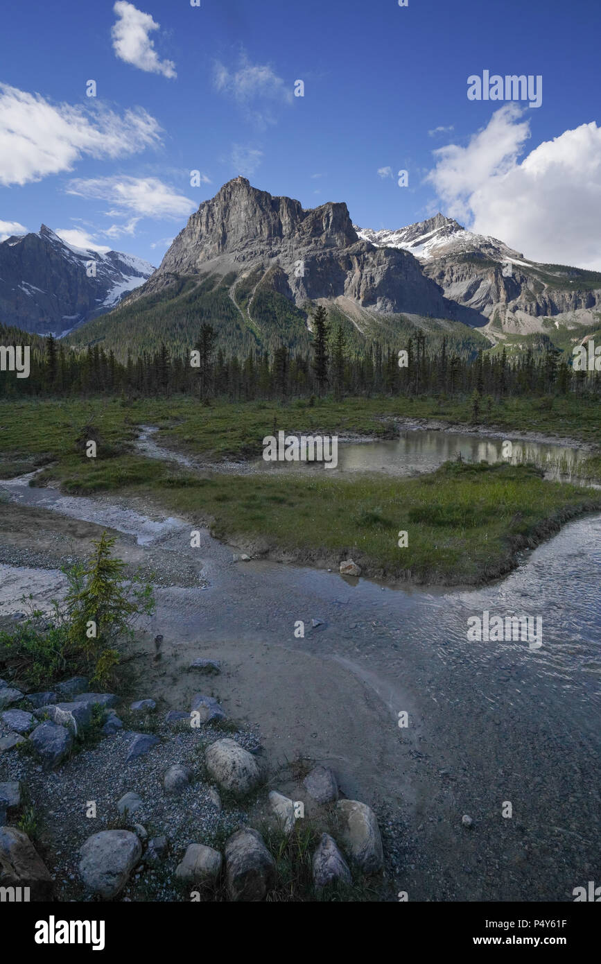 Rocky Mountain View en été l'orientation portrait Banque D'Images