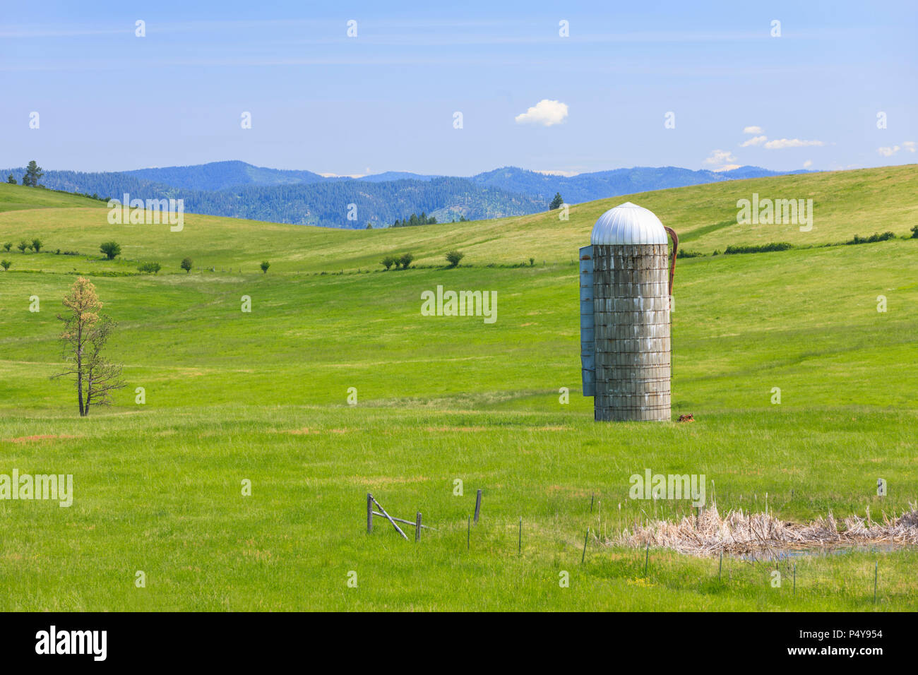 Un silo à grains se dresse dans un pré vert près de Harrison, New York. Banque D'Images