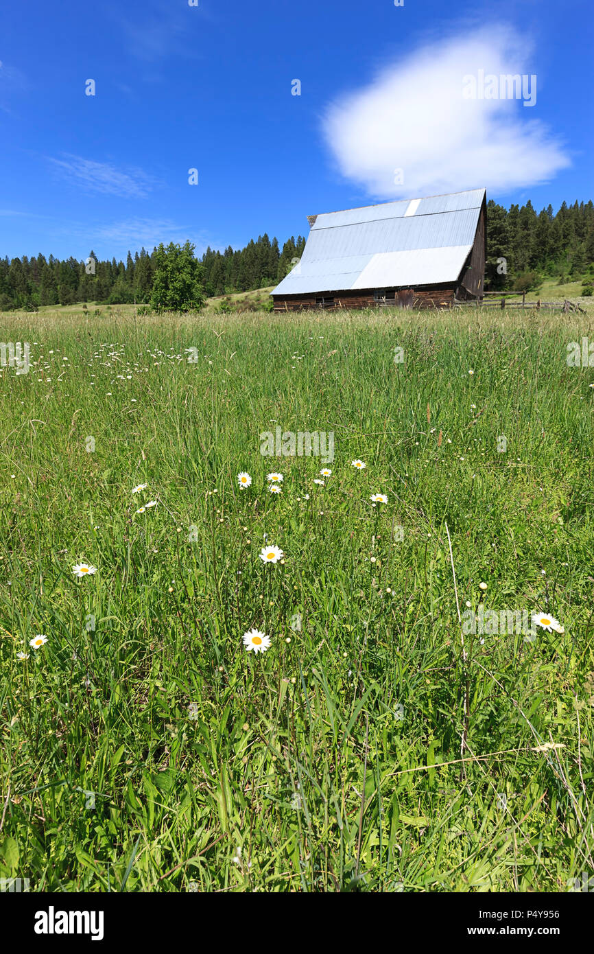 Les champs jusqu'à une grange sur une journée ensoleillée près de Harrison, New York. Banque D'Images