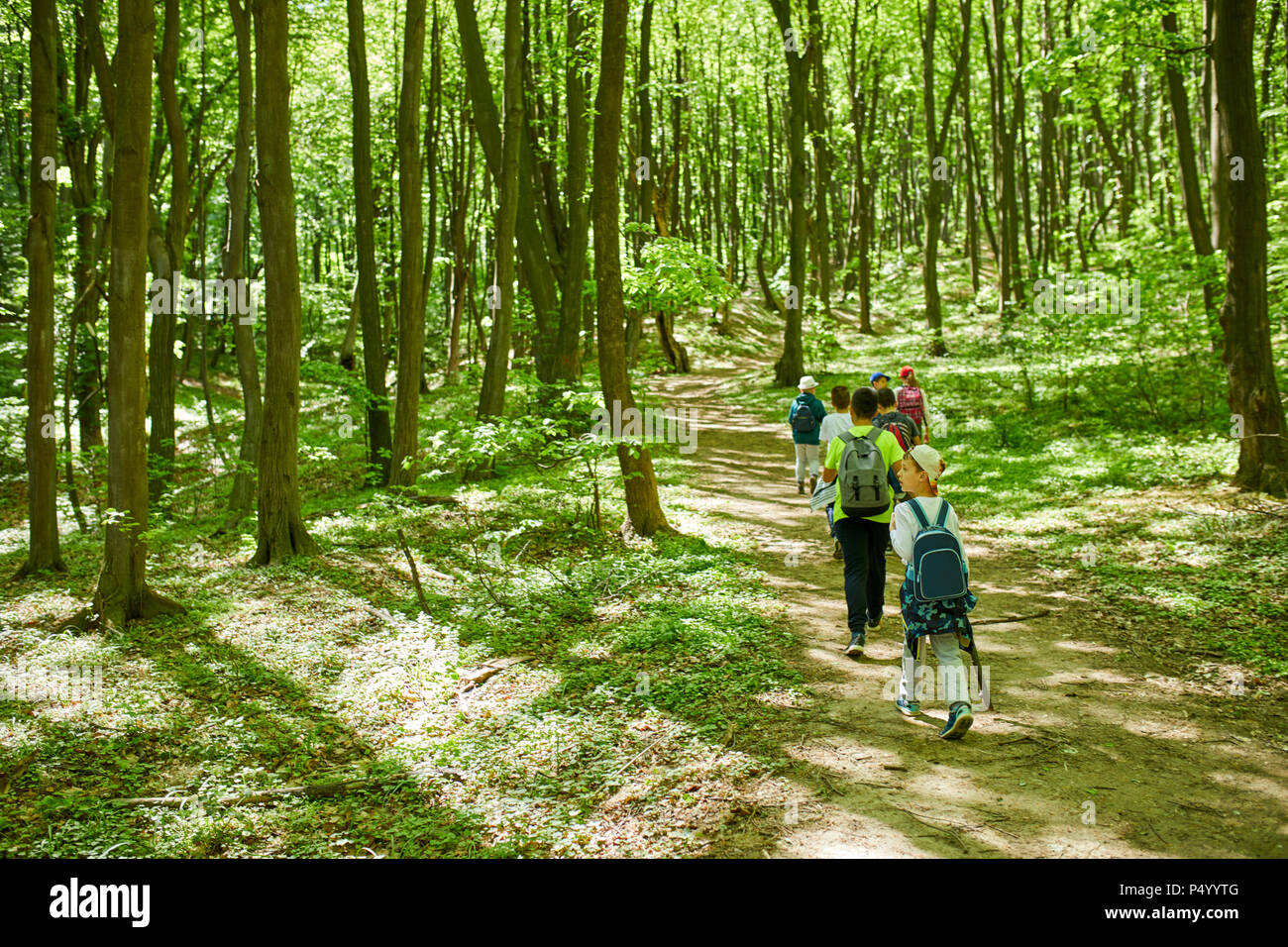 Les enfants en excursion dans la forêt Banque D'Images