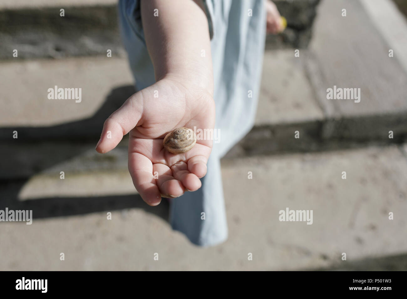 Coquille d'escargot sur little girl's palm Banque D'Images