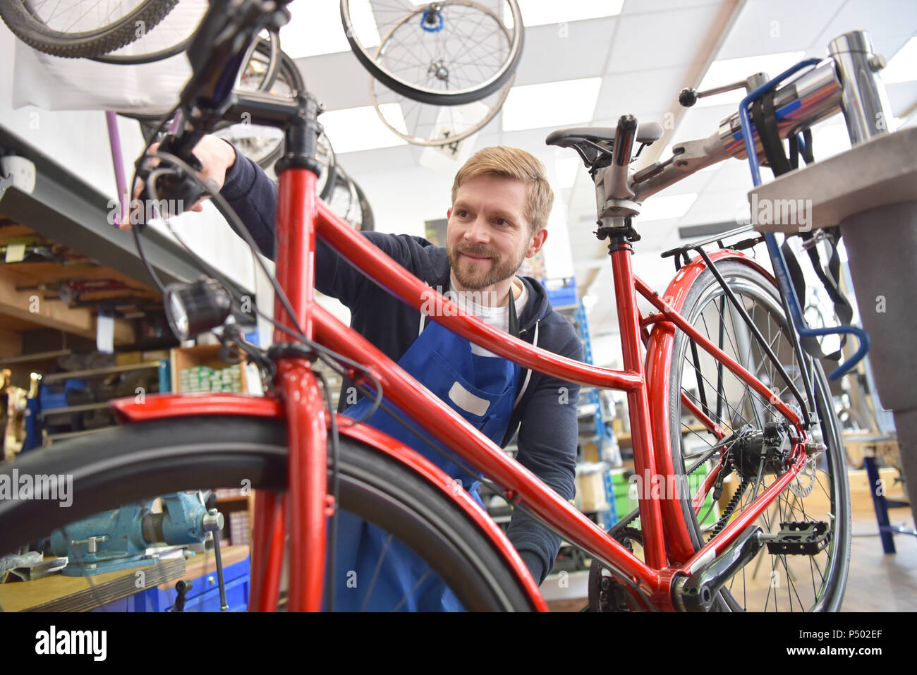 Mécanicien vélo travaillant dans son atelier de réparation Banque D'Images