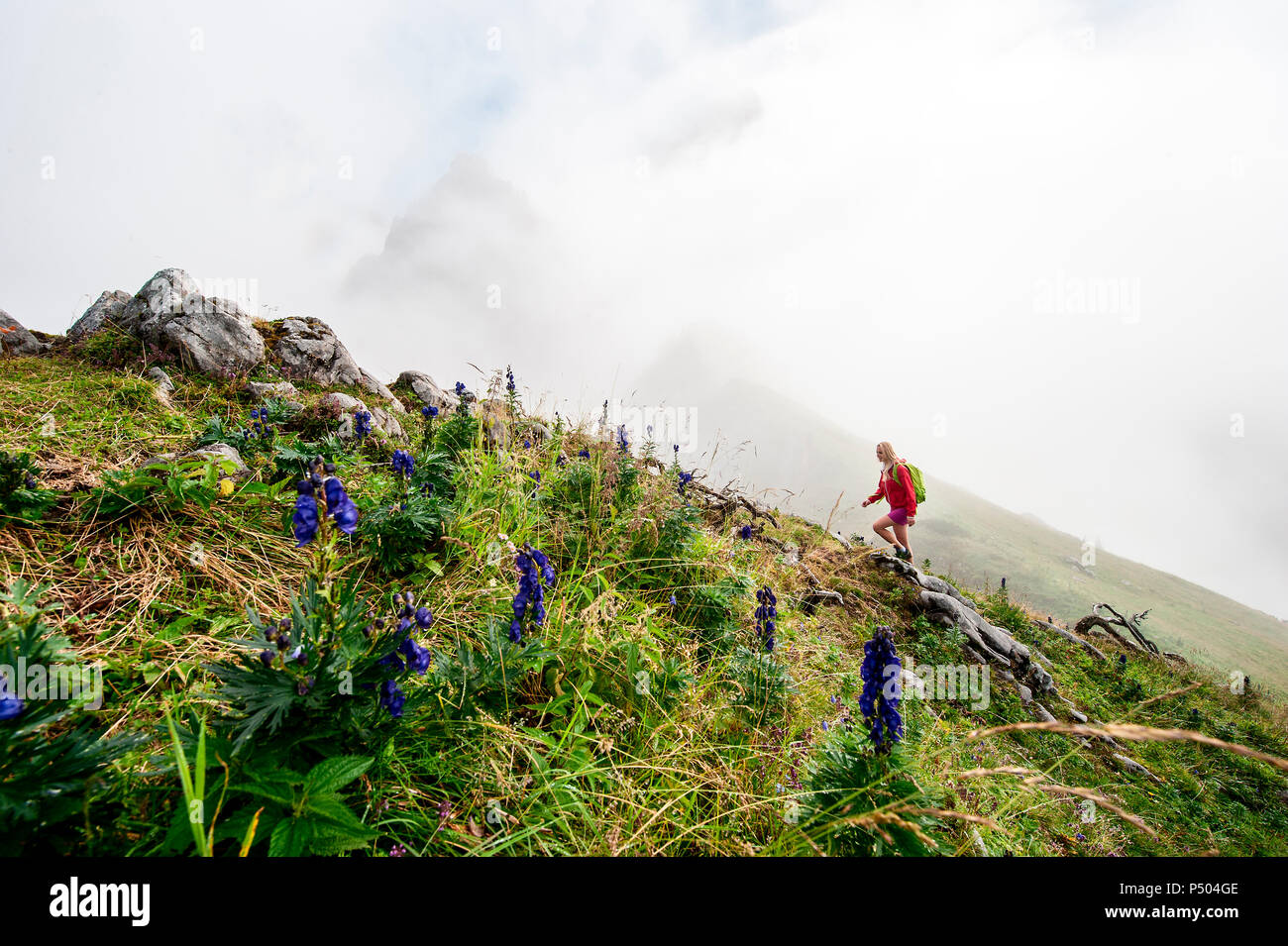 L'Autriche, l'état de Salzbourg, Filzmoos, Female hiker Banque D'Images